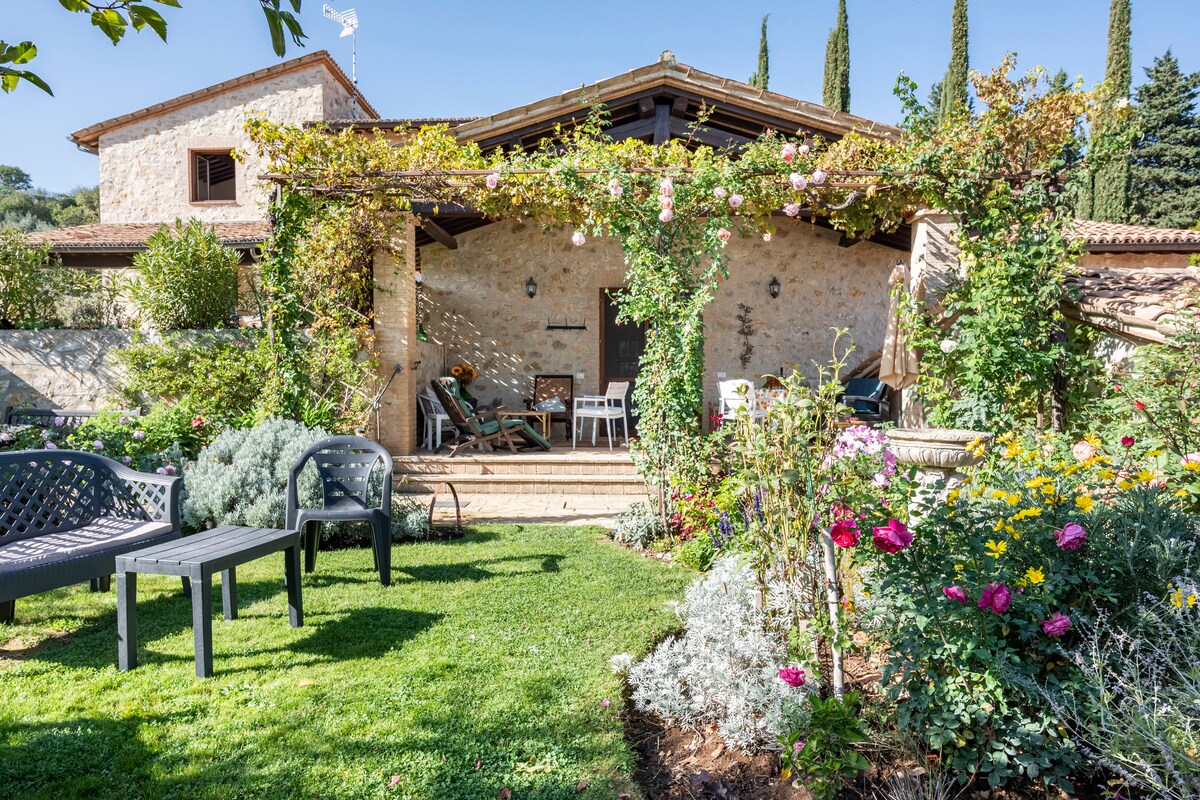 La Sosta di Sismano garden with vine-covered pergola